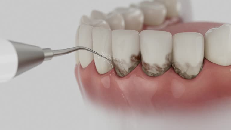 Reliable Dental contractor in Deale, MD by Dentist Open Now